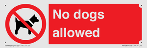 PV7367: No dogs allowed