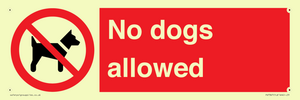 PV7367: No dogs allowed
