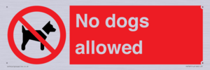 PV7367: No dogs allowed