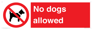 PV7367: No dogs allowed