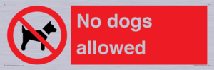 PV7367: No dogs allowed