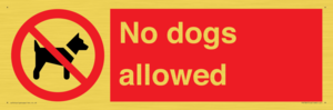 PV7367: No dogs allowed