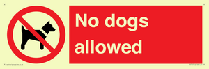PV7367: No dogs allowed