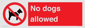 PV7367: No dogs allowed