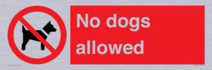 PV7367: No dogs allowed