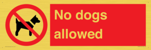 PV7367: No dogs allowed