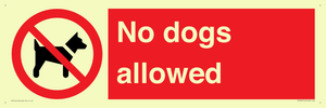 PV7367: No dogs allowed