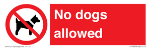 PV7367: No dogs allowed