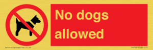 PV7367: No dogs allowed