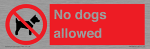 PV7367: No dogs allowed