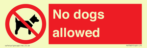 PV7367: No dogs allowed
