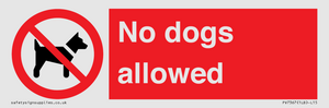 PV7367: No dogs allowed