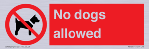 PV7367: No dogs allowed