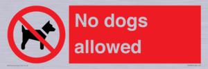 PV7367: No dogs allowed