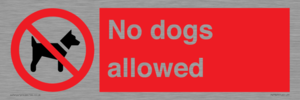 PV7367: No dogs allowed