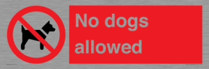 PV7367: No dogs allowed