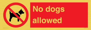 PV7367: No dogs allowed