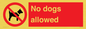 PV7367: No dogs allowed