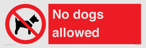 PV7367: No dogs allowed