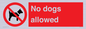 PV7367: No dogs allowed