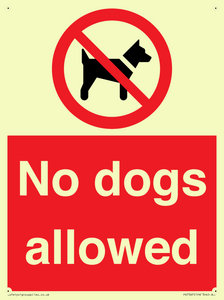 PV7367: No dogs allowed