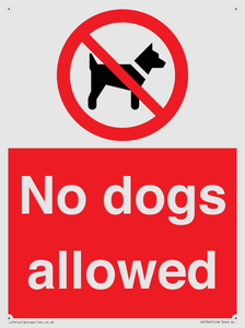 PV7367: No dogs allowed