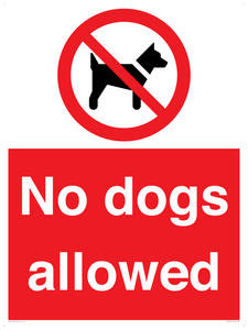 PV7367: No dogs allowed