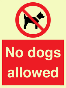 PV7367: No dogs allowed