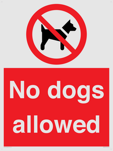 PV7367: No dogs allowed