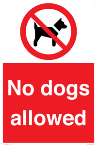 PV7367: No dogs allowed