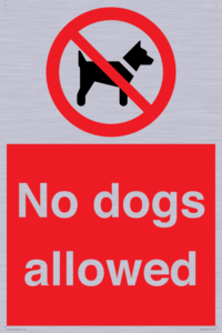 PV7367: No dogs allowed