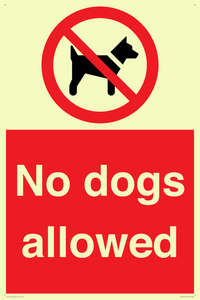PV7367: No dogs allowed
