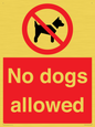 PV7367: No dogs allowed