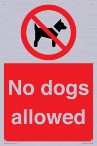 PV7367: No dogs allowed