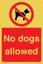 PV7367: No dogs allowed