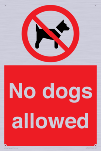 PV7367: No dogs allowed