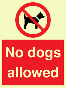 PV7367: No dogs allowed