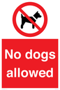 PV7367: No dogs allowed