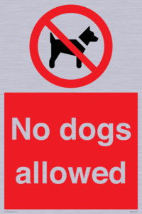 PV7367: No dogs allowed
