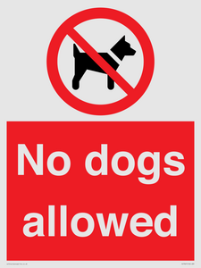 PV7367: No dogs allowed