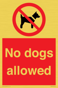PV7367: No dogs allowed