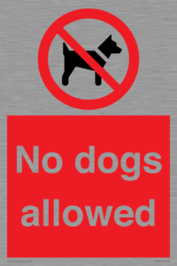 PV7367: No dogs allowed
