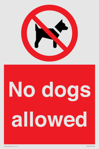 PV7367: No dogs allowed