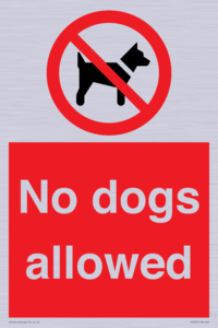 PV7367: No dogs allowed
