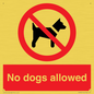 PV7367: No dogs allowed