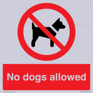 PV7367: No dogs allowed