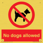 PV7367: No dogs allowed