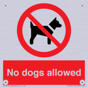 PV7367: No dogs allowed