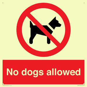 PV7367: No dogs allowed