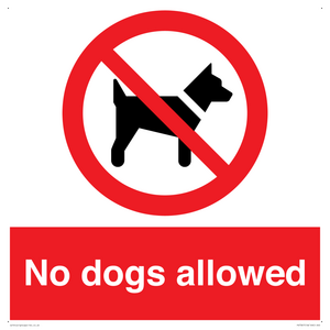 PV7367: No dogs allowed